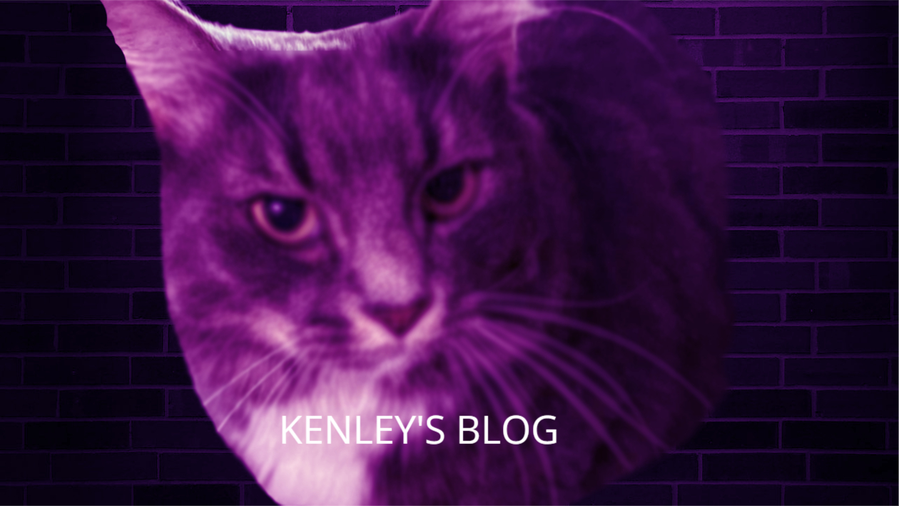 Photo of my cat with Kenley's blog in it. 